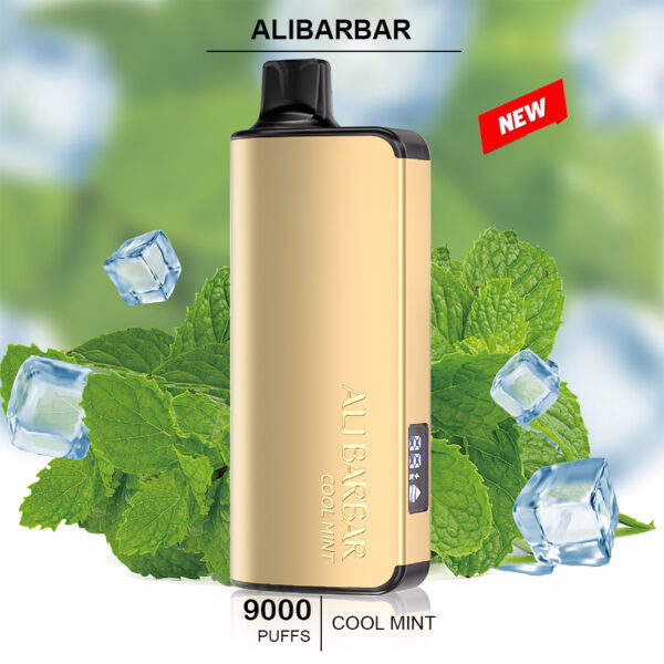 ALIBARBAR INGOT – COOL MINT – 9000 PUFFS