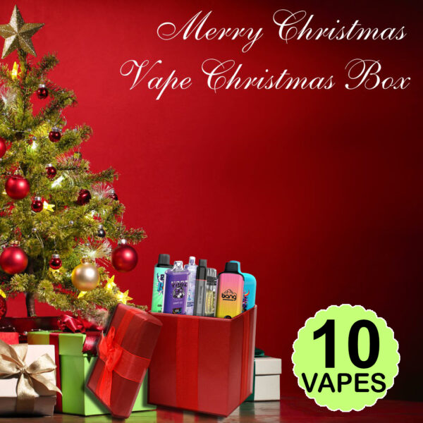 10x Disposable Vape Christmas Gift Box